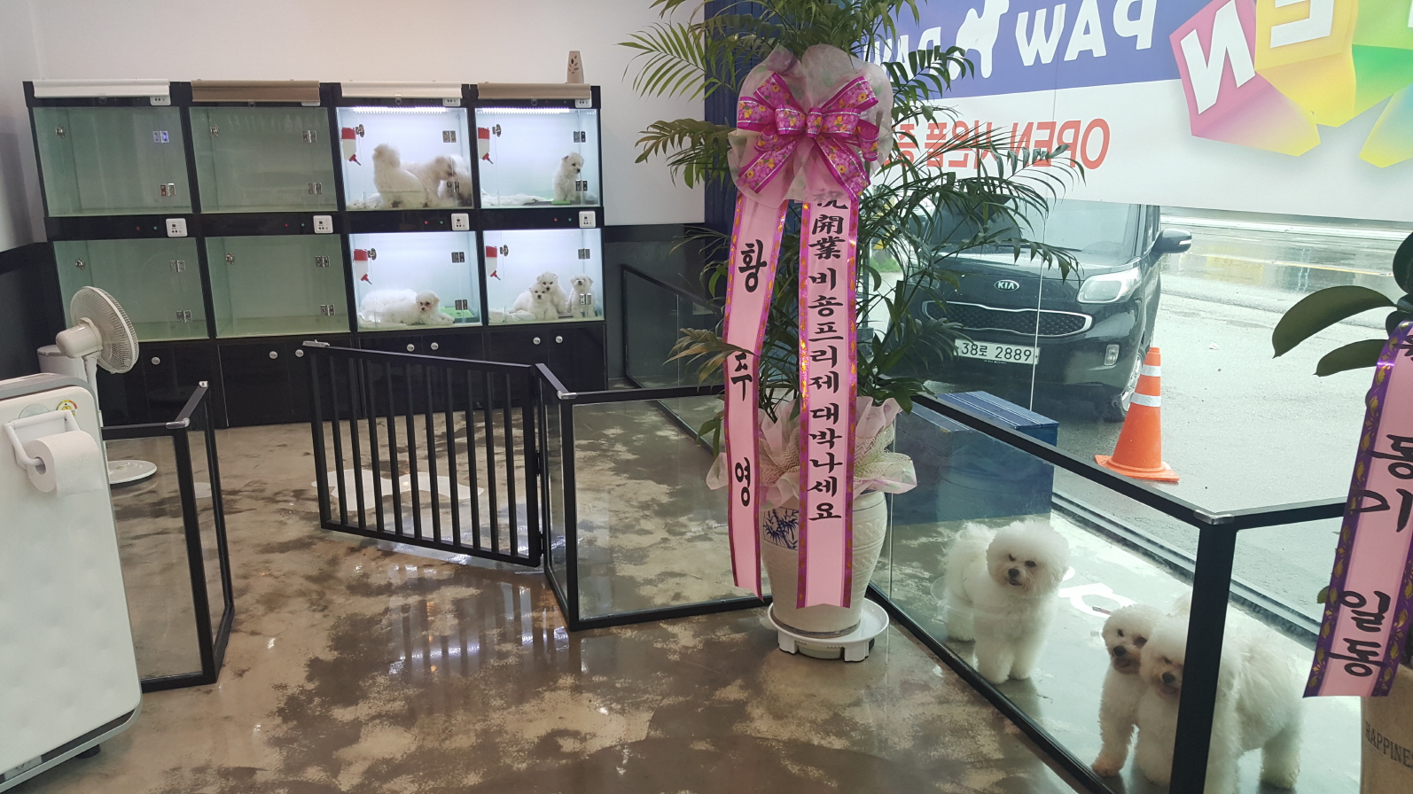 2049928719_Cmd8IBiH_99380b61cd8cfc9eb0a2d94368063003e92202a2.jpg 이미지크게보기